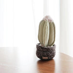 Lambwolf Collective Cactus Dog Toy sitting on a wooden table by a sunny window