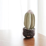Lambwolf Collective Cactus Dog Toy sitting on a wooden table by a sunny window