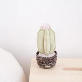 Lambwolf Collective Cactus Dog Toy, a pale green corduroy cactus in a brown knit pot on a side table