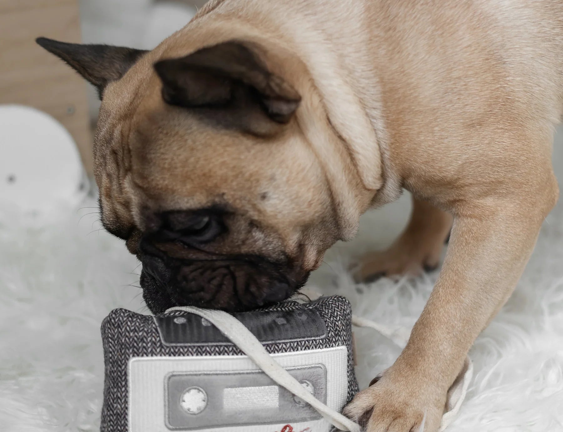 French bulldog chewing the Lambwolf Collective Cassette Dog Toy on a fluffy rug