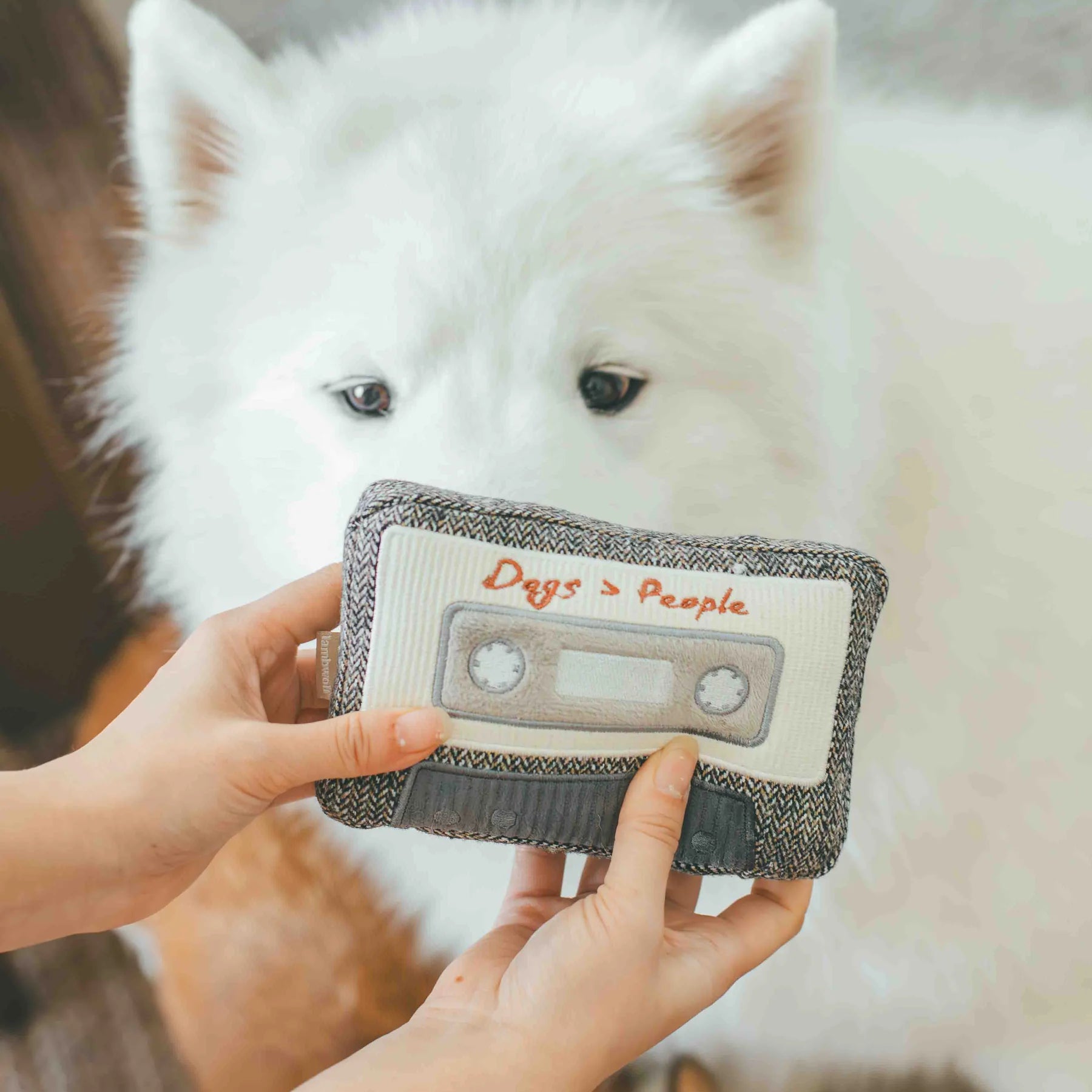Fluffy white Samoyed dog holding the Lambwolf Collective Cassette Dog Toy