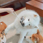 Person playing tug with a Samoyed using the Lambwolf Collective Cassette Dog Toy ribbon