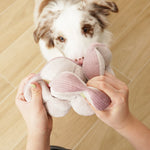 Border collie sniffing the Lambwolf Collective Monti Enrichment Dog Toy held open by hands