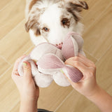 Border collie sniffing the Lambwolf Collective Monti Enrichment Dog Toy held open by hands