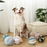 Border collie sitting beside a group of Lambwolf Collective Monti Enrichment Dog Toys in assorted colors