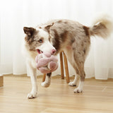 Border collie carrying the Lambwolf Collective Monti Enrichment Dog Toy in Pink across a room