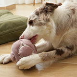 Border collie chewing the Lambwolf Collective Monti Enrichment Dog Toy in Pink on a green cushion
