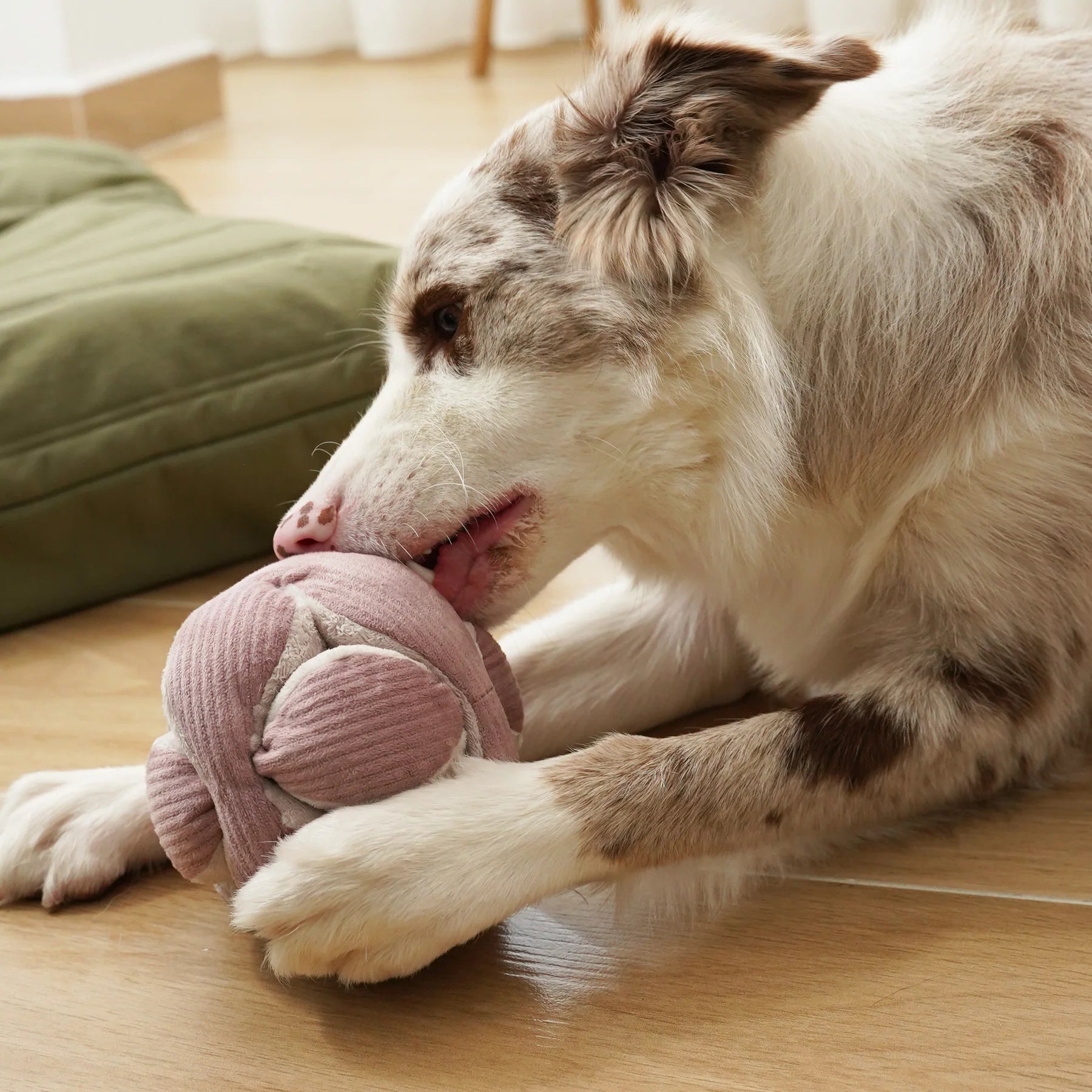 Border collie chewing the Lambwolf Collective Monti Enrichment Dog Toy in Pink on a green cushion