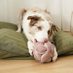Border collie resting its chin on the Lambwolf Collective Monti Enrichment Dog Toy in Pink