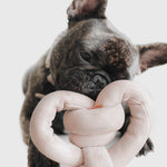 Brindle French bulldog chewing the Lambwolf Collective Nounou Dogwood Squeakers Dog Toy, close-up