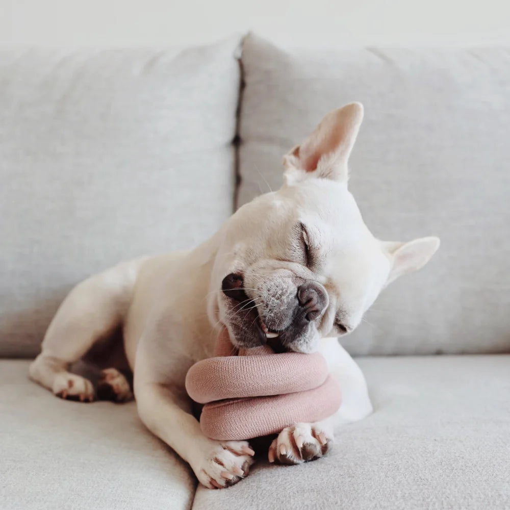French bulldog resting its chin on the Lambwolf Collective Nounou Dogwood Squeakers Dog Toy on a couch
