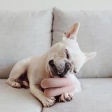 French bulldog resting its chin on the Lambwolf Collective Nounou Dogwood Squeakers Dog Toy on a couch