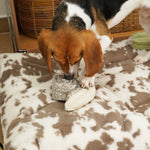 Beagle sniffing the Lambwolf Collective Snail Snuffle Dog Toy on a cowhide rug