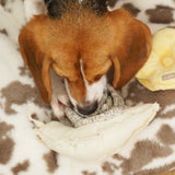Beagle sniffing for treats in the Lambwolf Collective Snail Snuffle Dog Toy on a cowhide rug
