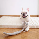 French bulldog on a mattress with the Lambwolf Collective Snail Snuffle Dog Toy