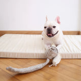 French bulldog on a mattress with the Lambwolf Collective Snail Snuffle Dog Toy
