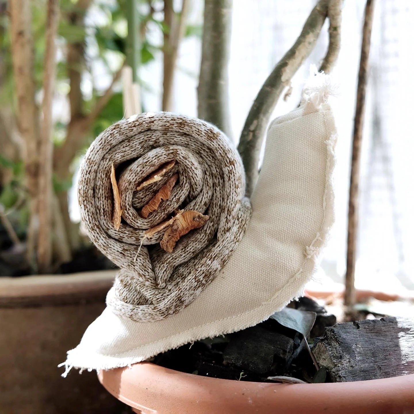 Lambwolf Collective Snail Snuffle Dog Toy stuffed with treats sitting in a terracotta pot