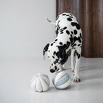 Dalmatian sniffing Lambwolf Collective Toto Enrichment Dog Toys in Marine and Pink