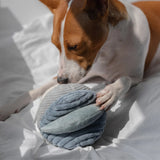 Brown and white dog sniffing the Lambwolf Collective Toto Enrichment Dog Toy in Marine on a bed