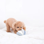 Small apricot poodle biting the Lambwolf Collective Toto Enrichment Dog Toy in Marine