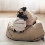 Pug in a dog bed chewing the Lambwolf Collective Toto Enrichment Dog Toy in Pink