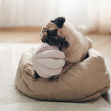 Pug in a dog bed chewing the Lambwolf Collective Toto Enrichment Dog Toy in Pink