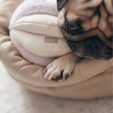 Close-up of a pug resting its chin on the Lambwolf Collective Toto Enrichment Dog Toy in Pink