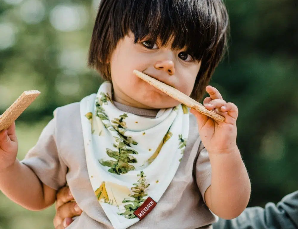 Toddler outdoors wearing the Milkbarn Camping Three-Layer Kerchief Bib while eating a snack
