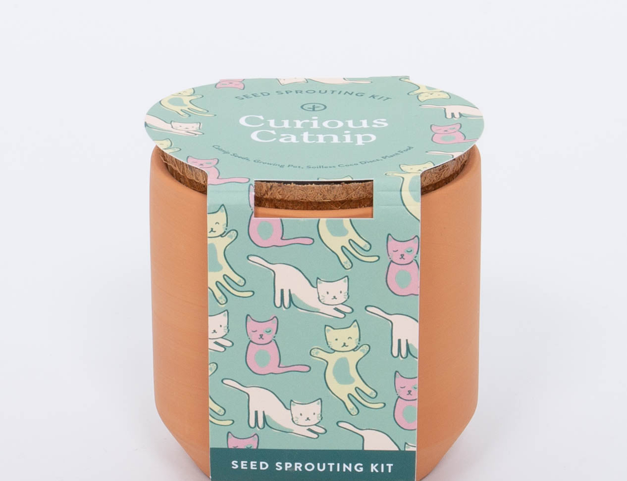 Modern Sprout Curious Catnip seed sprouting kit in a terracotta pot with a teal cat-print sleeve, front view