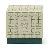 Paddywax Tulip Glass Candle box with a green leaf pattern, 5.5 oz