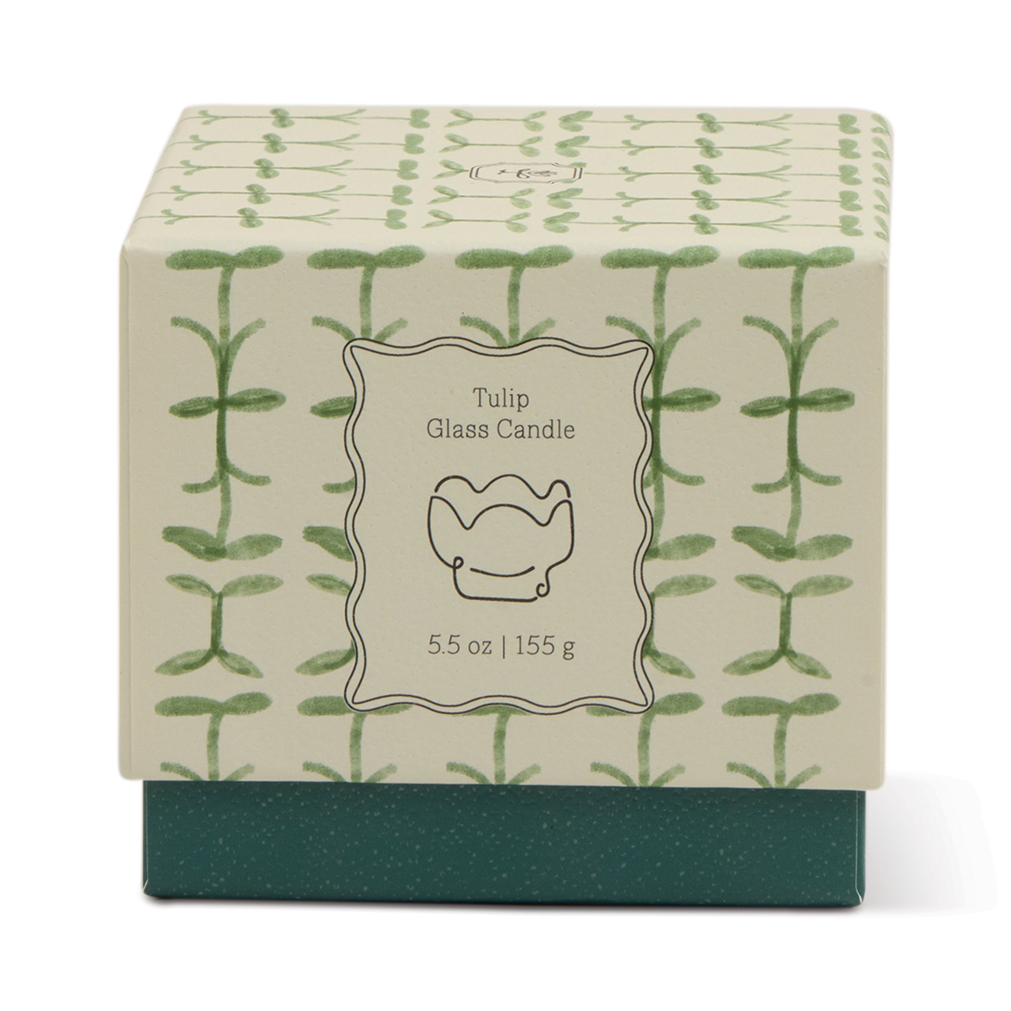 Paddywax Tulip Glass Candle box with a green leaf pattern, 5.5 oz