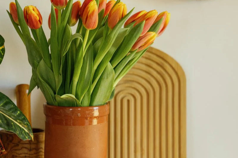 Paddywax Tulip Glass Candle lit on a shelf beside a vase of orange tulips