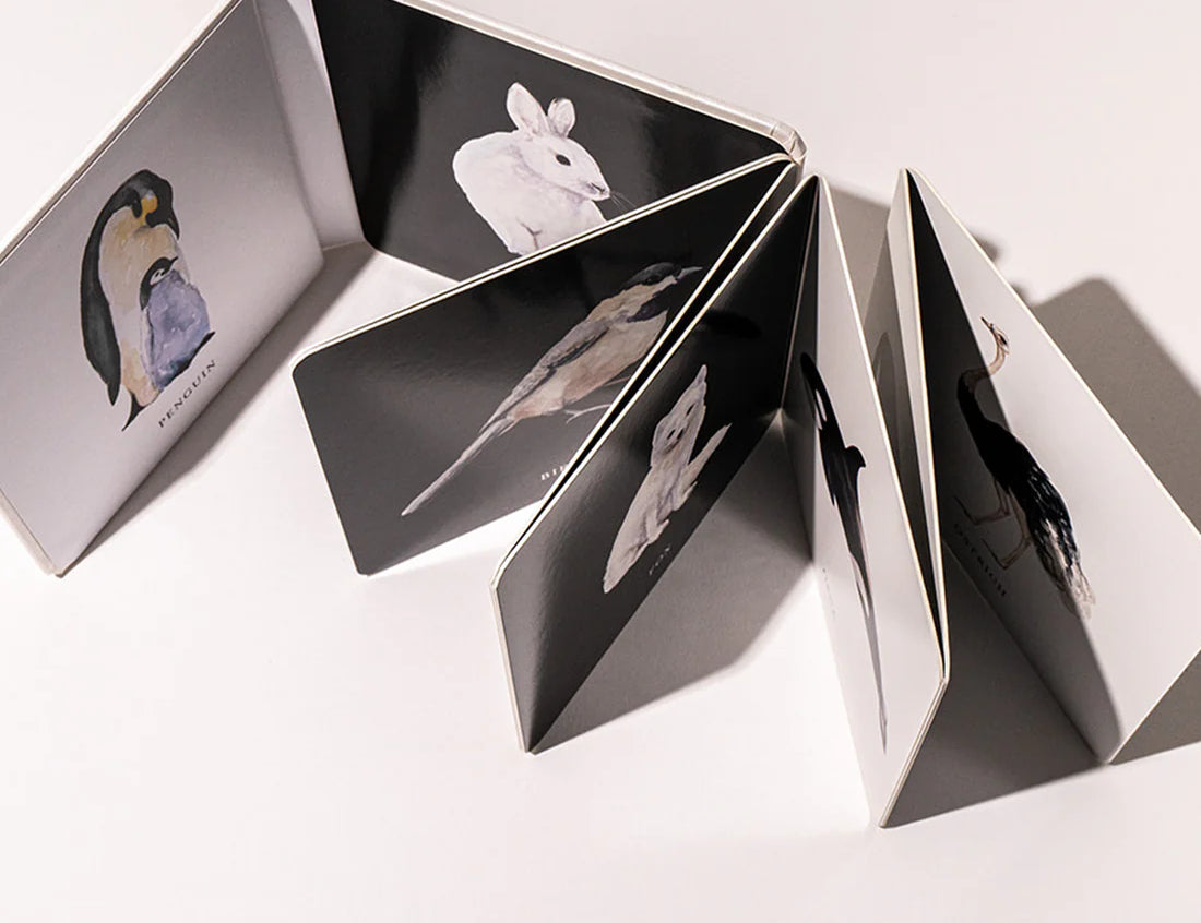 Paige Tate & Co Black and White Contrast Book fanned open accordion-style showing animal pages