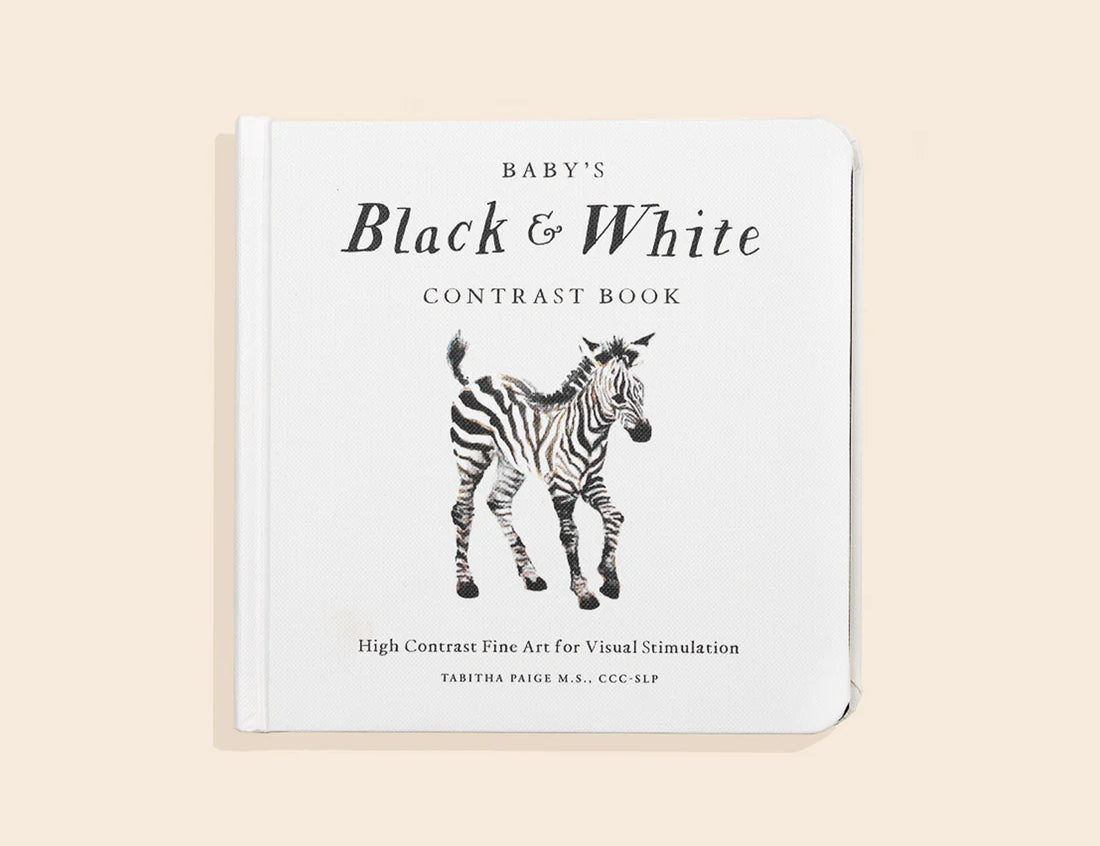 Paige Tate & Co Baby's Black and White Contrast Book, white cover with a zebra illustration
