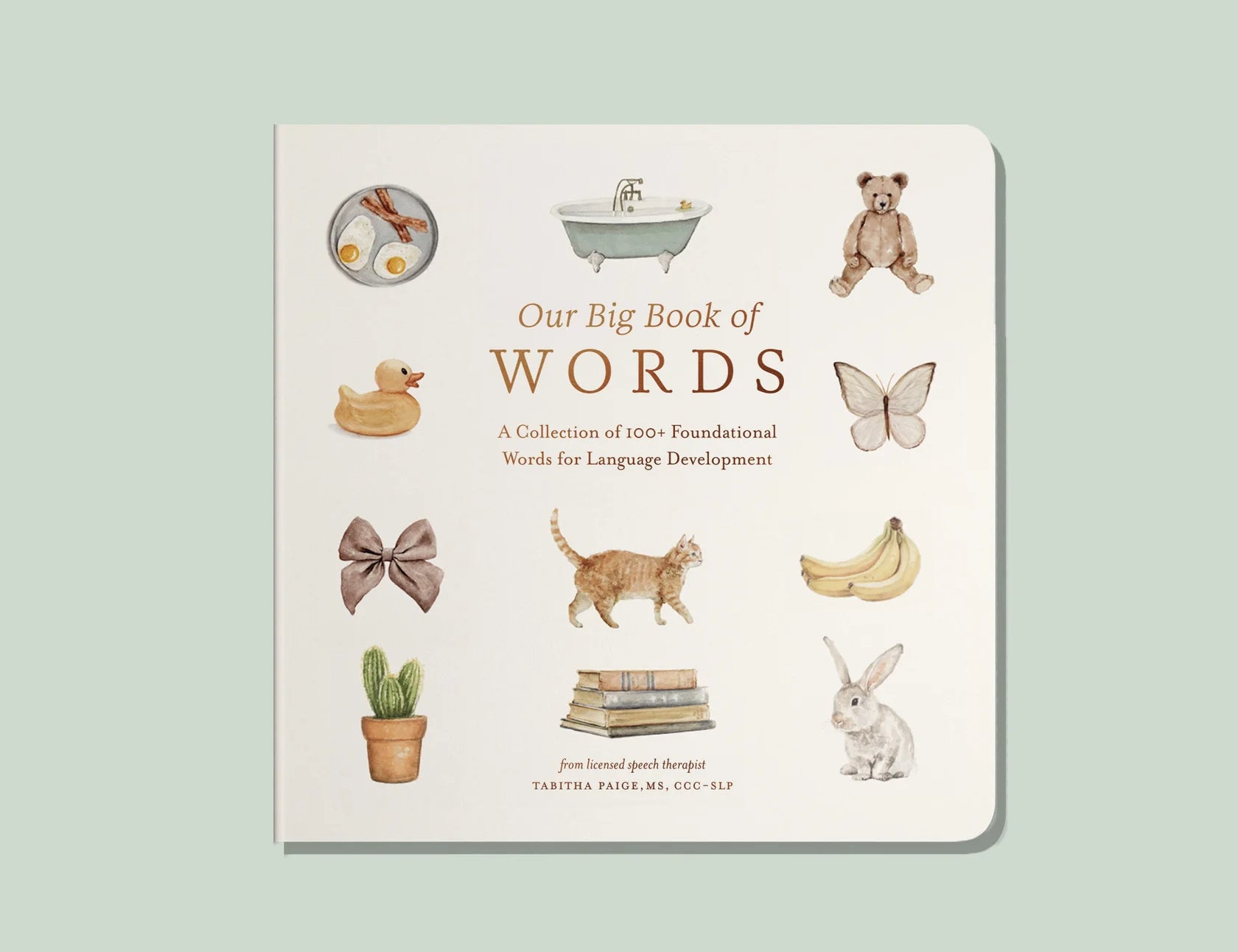 Paige Tate & Co Our Big Book of Words, a cream board book cover with watercolor illustrations of everyday objects