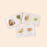 Paige Tate & Co Our Little Adventures board books open to watercolor pages of animals and plants