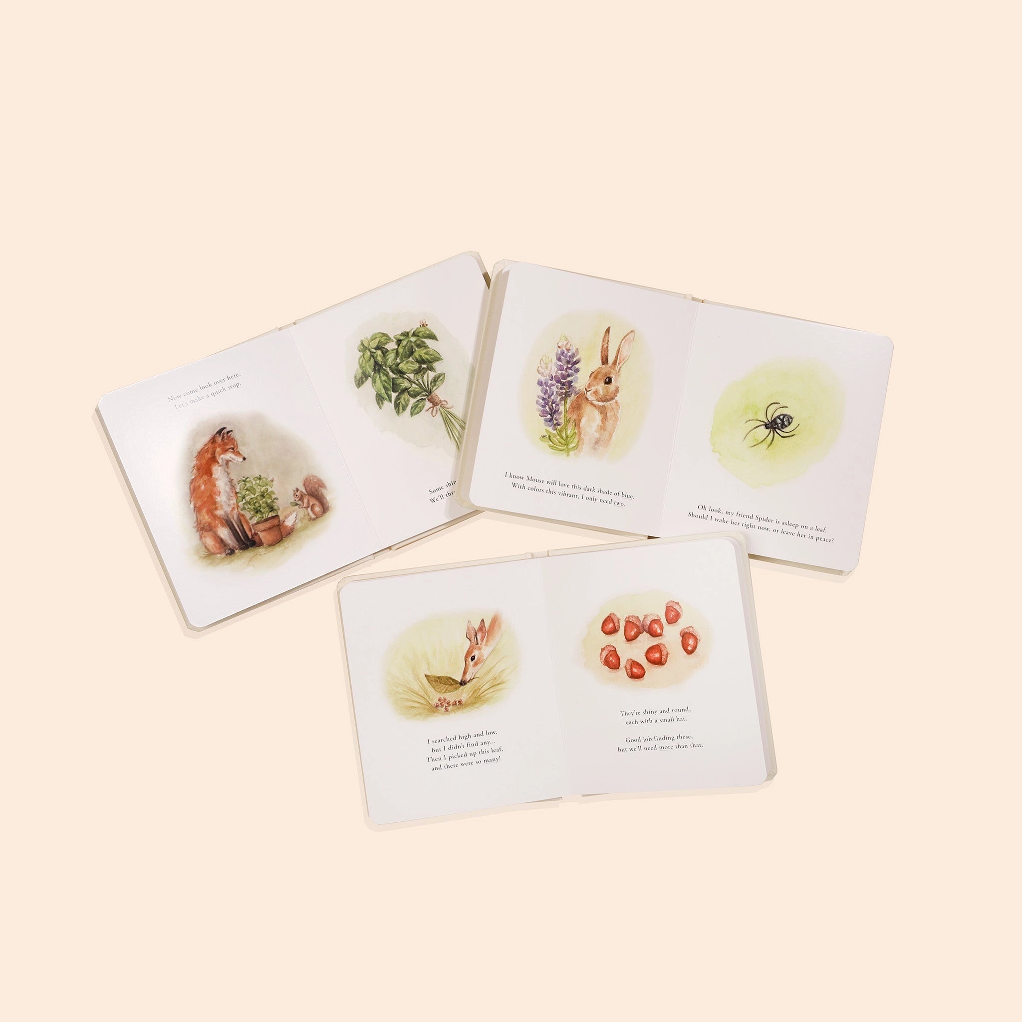Paige Tate & Co Our Little Adventures board books open to watercolor pages of animals and plants