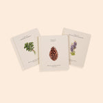 Paige Tate & Co Our Little Adventures three board books with garden, forest and mountain covers