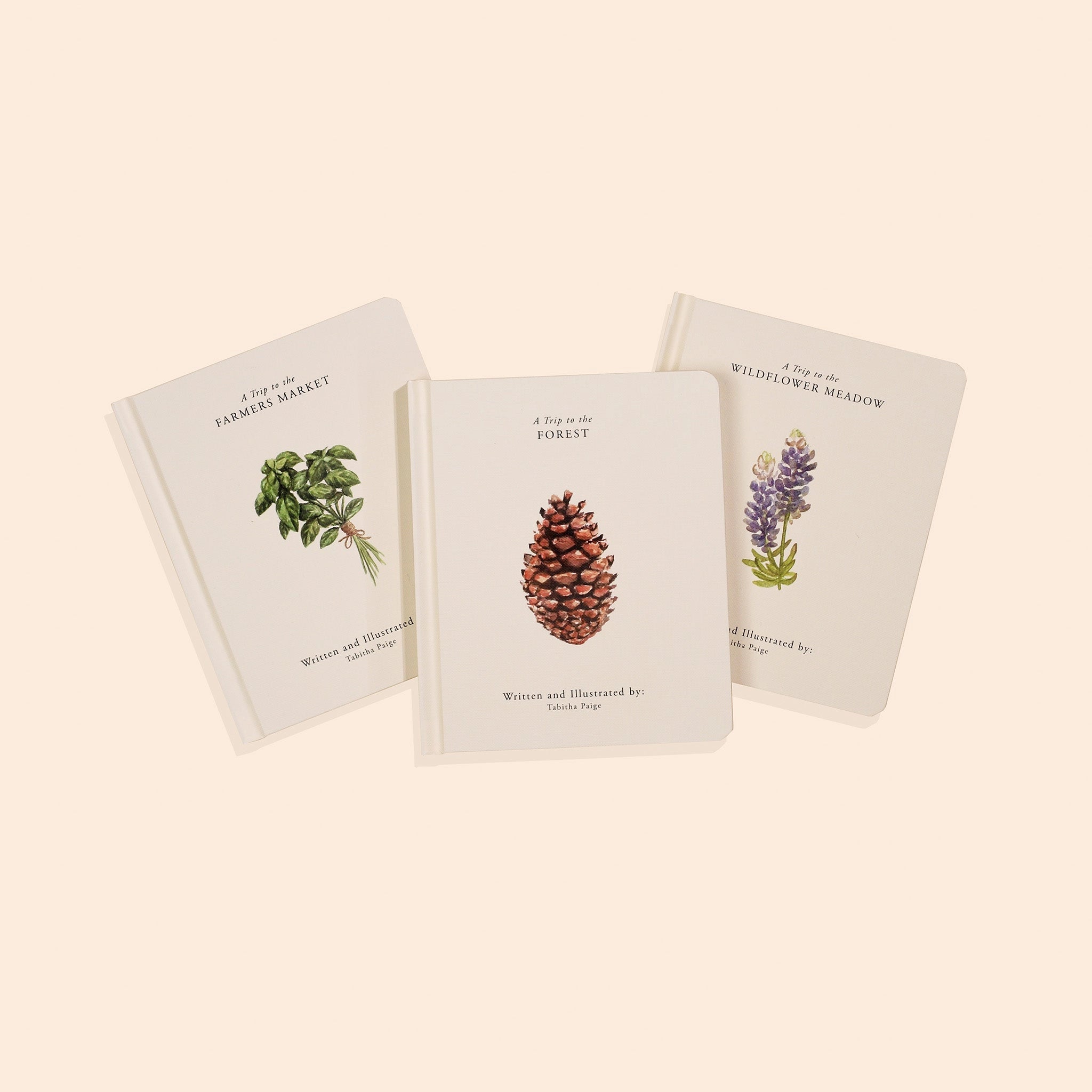 Paige Tate & Co Our Little Adventures three board books with garden, forest and mountain covers