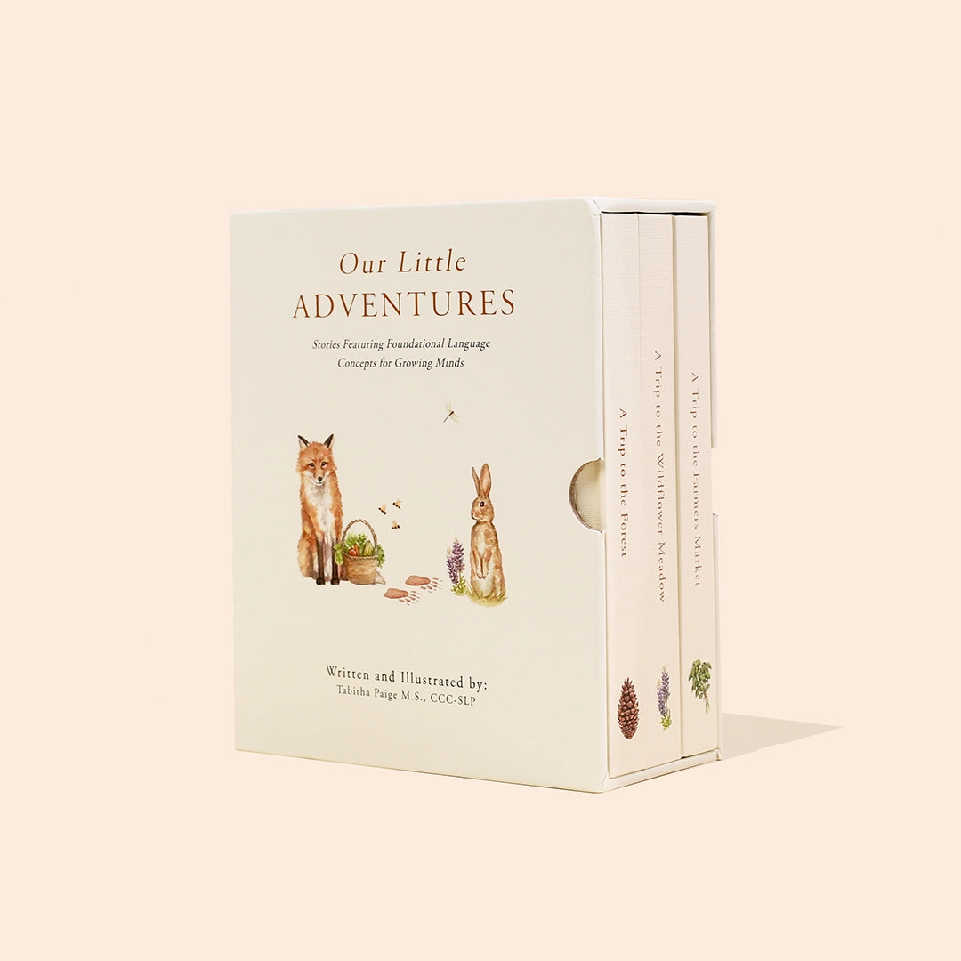 Paige Tate & Co Our Little Adventures Box Set, a cream slipcase with a fox and rabbit illustration