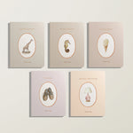Paige Tate & Co Our Little Library Vol. 2, five board books with oval watercolor covers