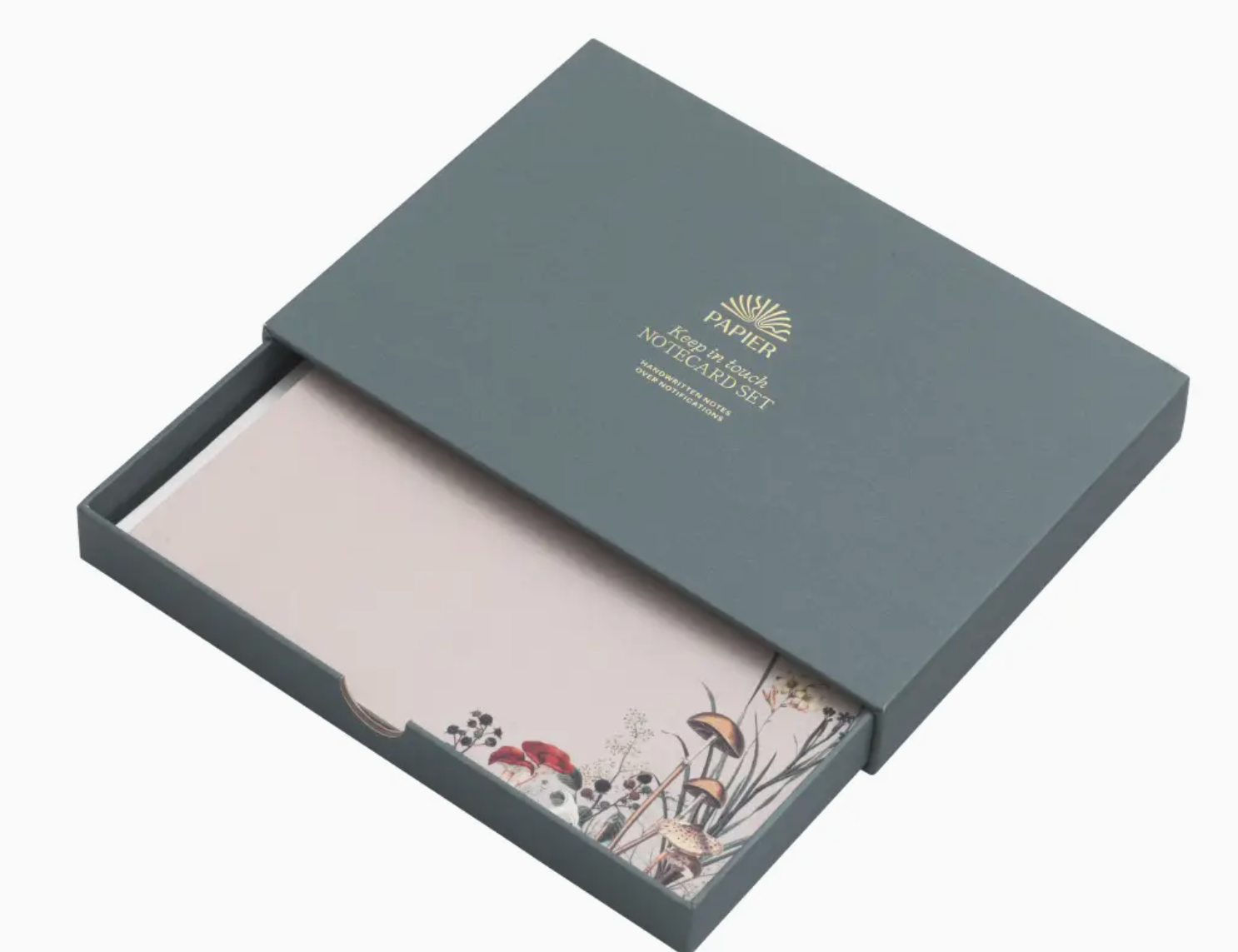 Papier Modern Notecard Set in a slate blue box with botanical illustrated cards