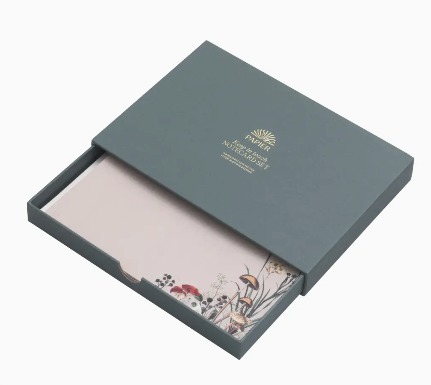 Papier Modern Notecard Set in a slate blue box with botanical illustrated cards