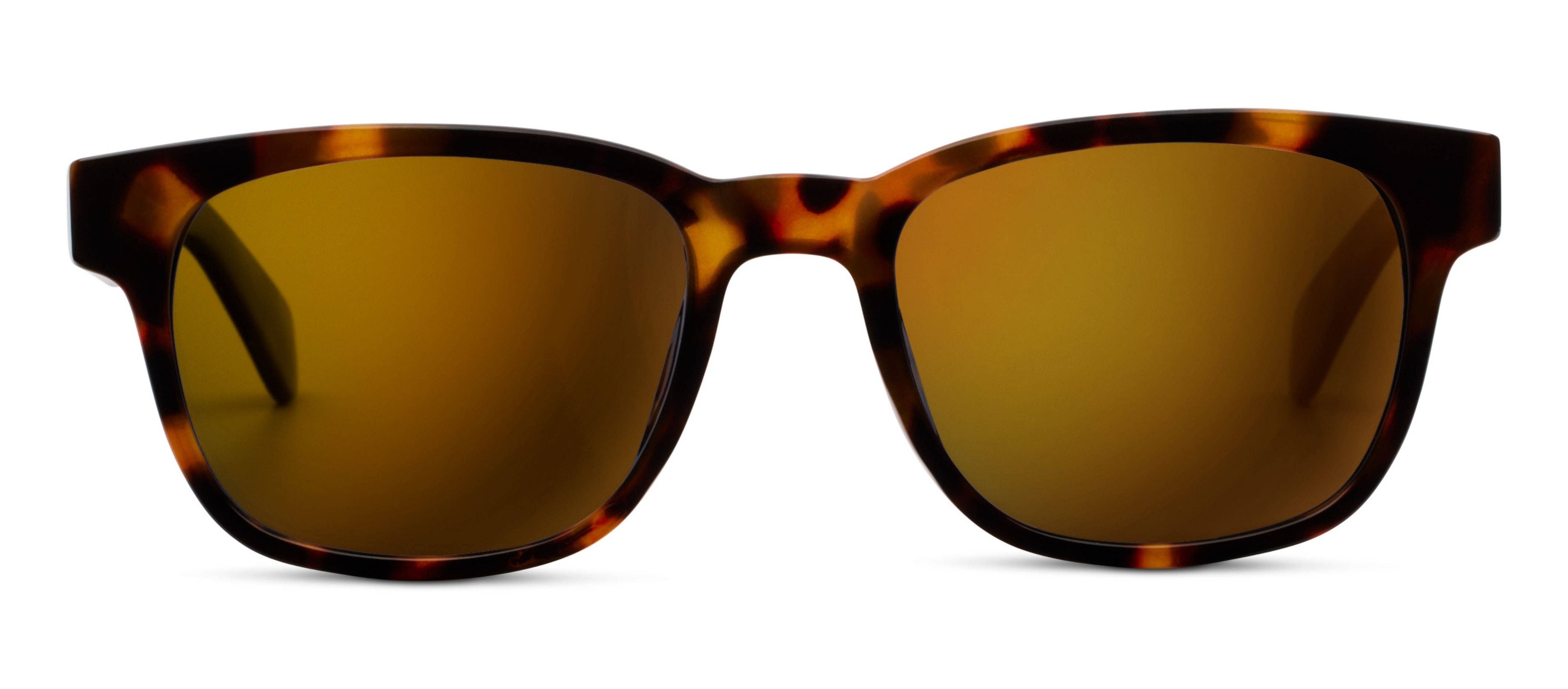 Peepers 18th Hole Sunglasses in Tortoise, close-up front view with amber-brown lenses