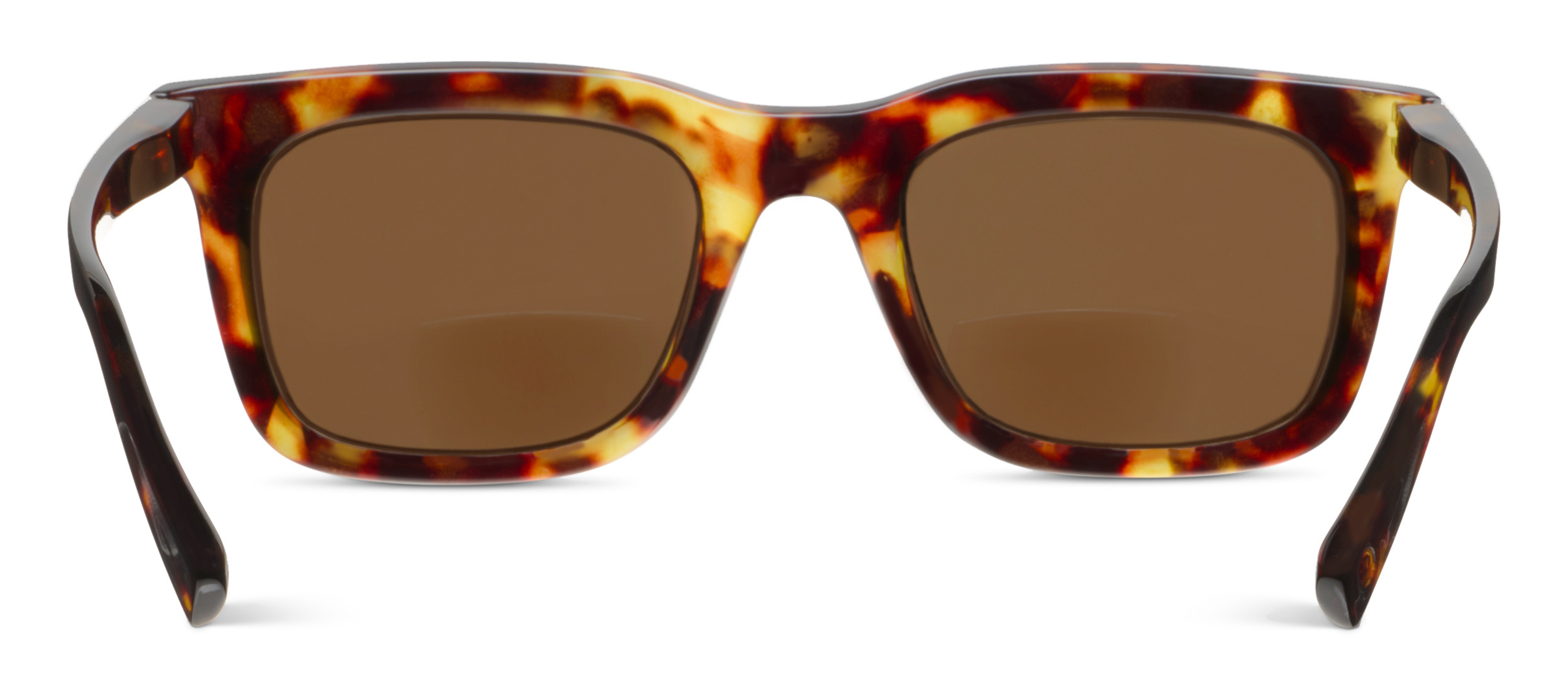 Peepers Airplane Mode Sunglasses in dark tortoise with bifocal reading lenses, front view
