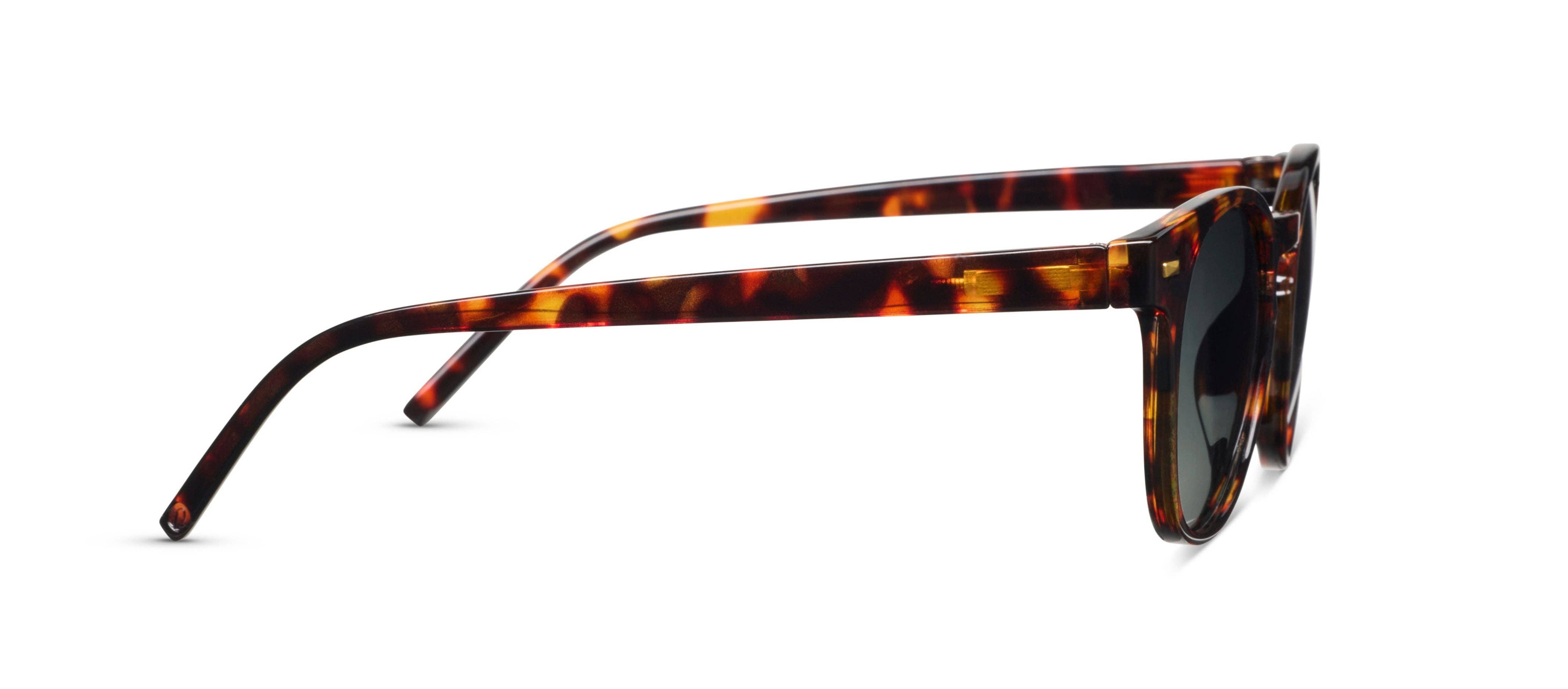 Peepers Boho II Sunglasses in tortoise, side view of the temple arm