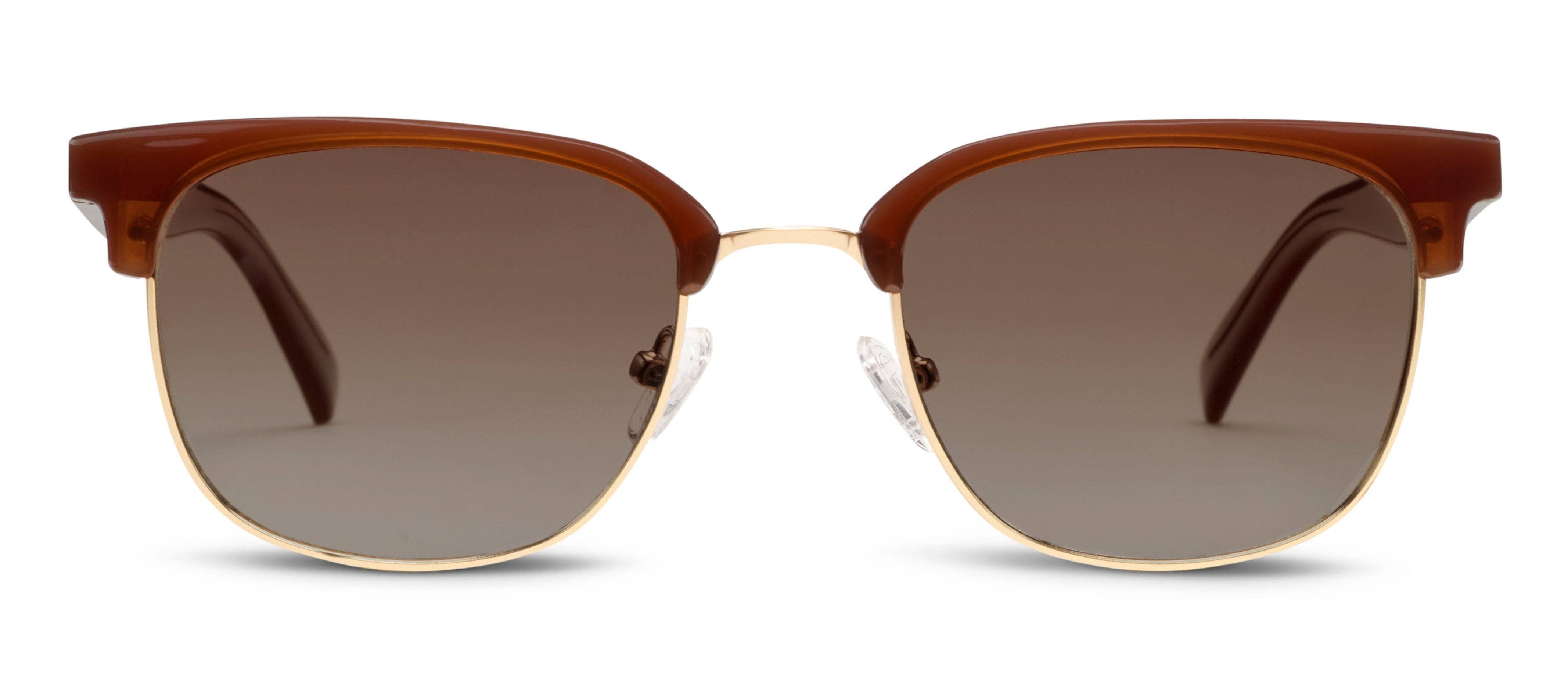 Peepers Houston Sunglasses in Brown, front view of the browline frames with gold rims