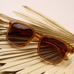 Peepers Shasta Sunglasses in Tan resting on dried palm leaves