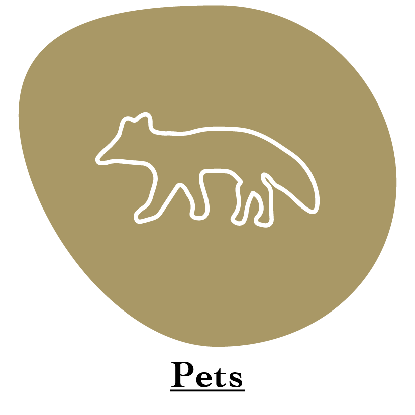 "Pets" category name with white Cute fox outline illustration on gold circle