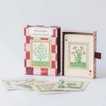 RoomyTown Book of Herbs Playing Cards box open with illustrated herb cards fanned in front